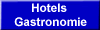 Hotels 
 Gastronomie